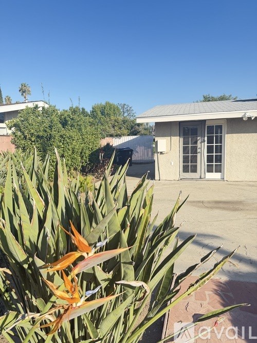 A green plant with orange flowers in the foreground and a house in the background.