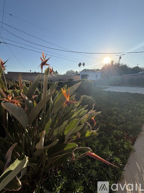 A sunny day with a clear blue sky and a bird perched on a branch.