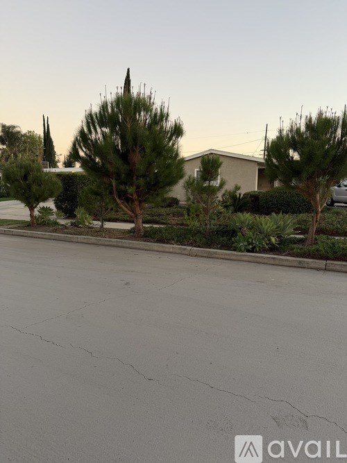 A street with a house and trees in the background.