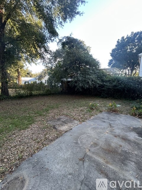 A backyard with a concrete path and trees.