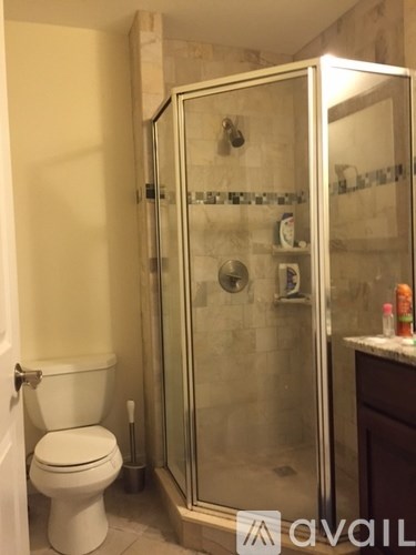 A bathroom with a toilet, a shower with a glass door, and a counter with some bottles on it.