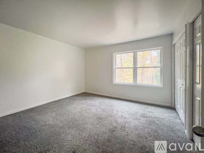 A room with a carpeted floor and a window letting in natural light.