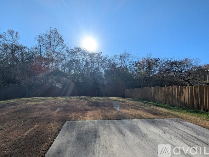 A sunny day in a backyard with a dirt track.