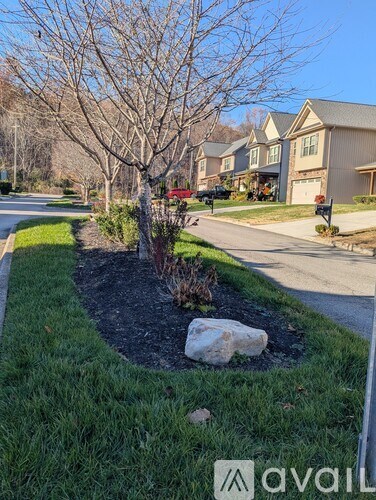 A tree in a landscaped area with a house in the background.
