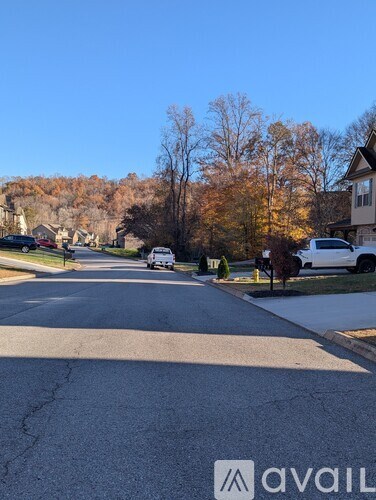 A street view with cars parked on the side and houses in the background.