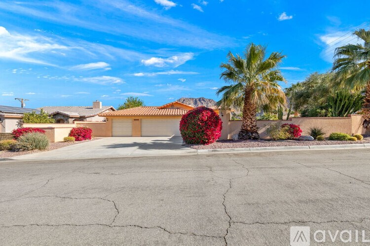 A house with a cracked driveway and a palm tree in front.