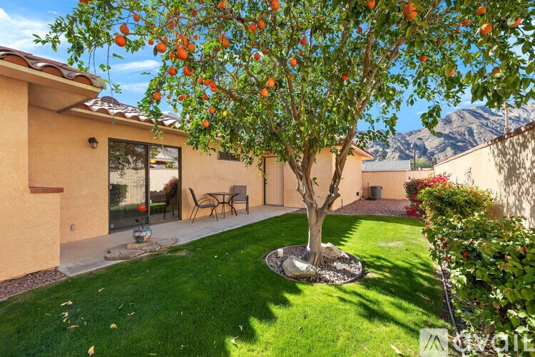 A tree with oranges hanging from it's branches is in front of a house.
