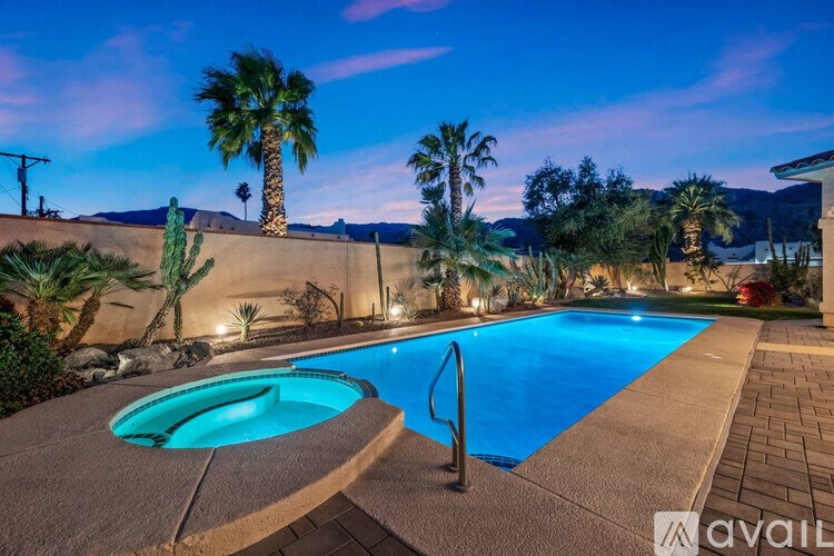 A swimming pool surrounded by palm trees and a cactus.