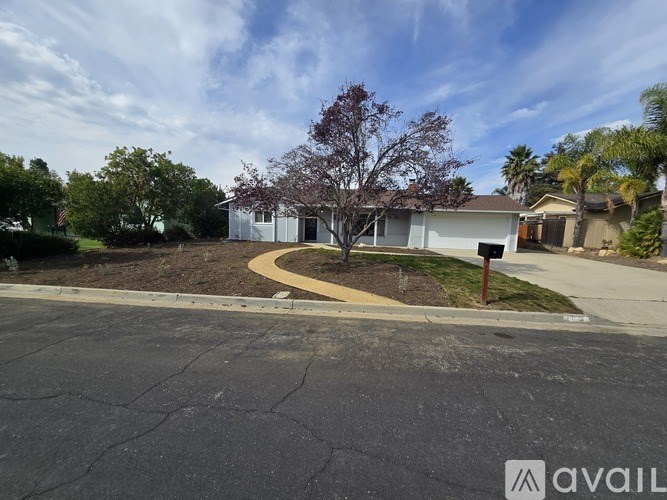 A house with a driveway and a tree in front of it.