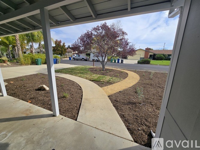 A tree with purple leaves is in the middle of a landscaped area.
