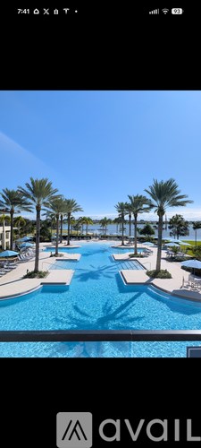 A pool surrounded by palm trees.