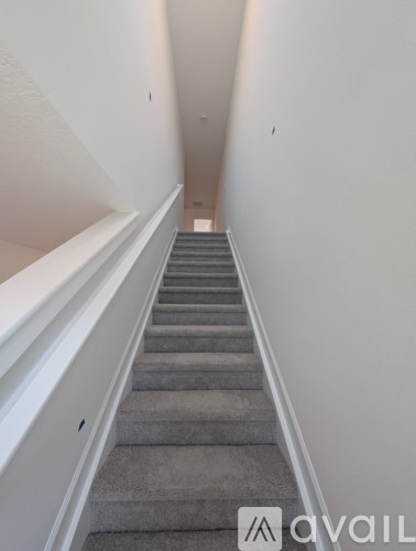 A staircase with a carpeted runner and white handrails.