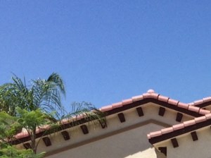 the front entrance of a house with a walkway and palm trees