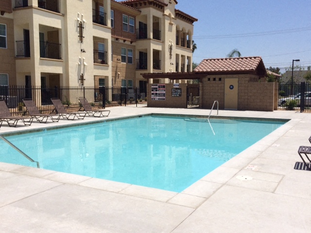 the swimming pool at the apartments for rent