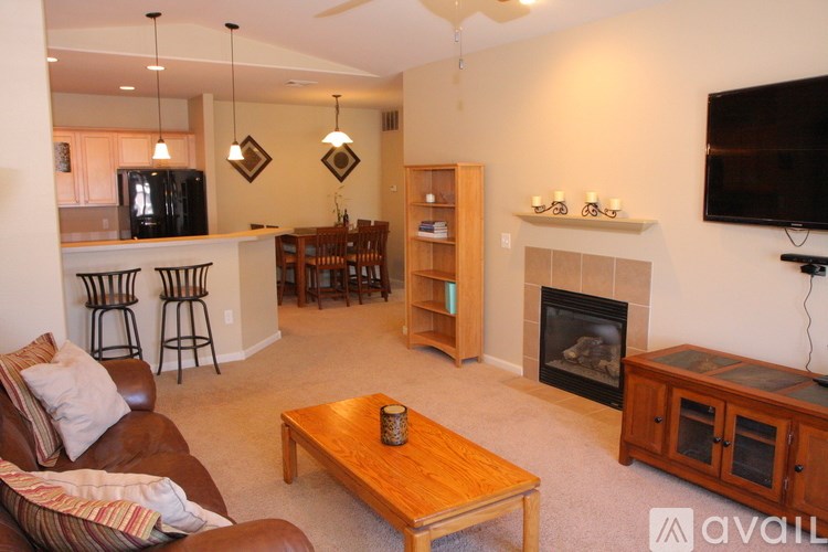 A living room with a fireplace and a television.