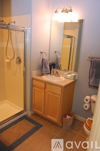 A bathroom with a sink, mirror, and shower.