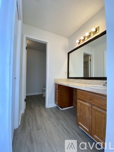 A bathroom with a vanity and a mirror.