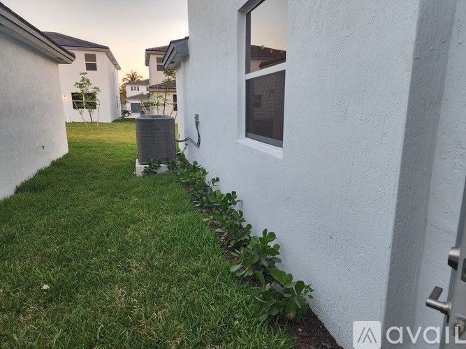 A white wall with a window and a green plant in front of it.