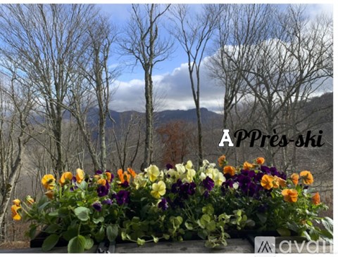 102 Sugar Ski Drive 2 Beds Apartment for Rent