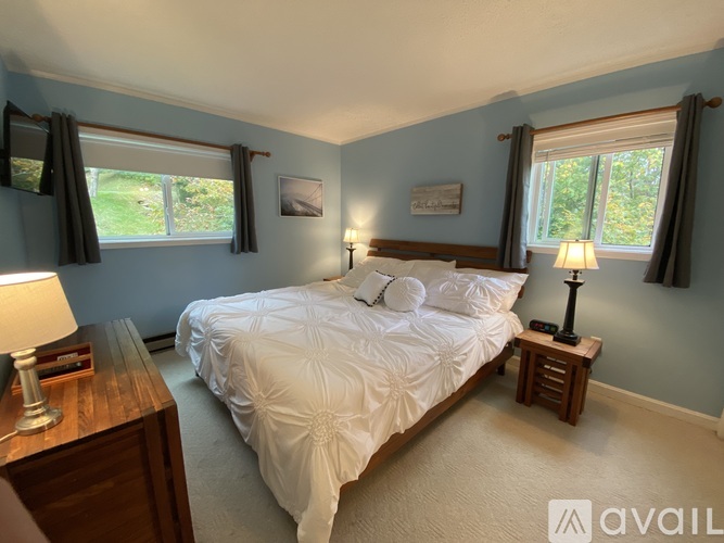 A bedroom with a large bed and two windows.