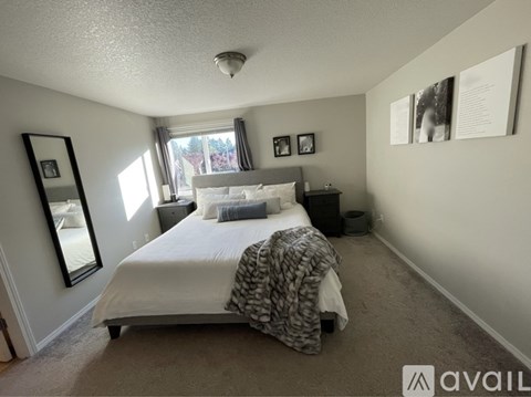 527 Whitney Drive 3 Beds Single Family Home for Rent - Photo Gallery 17