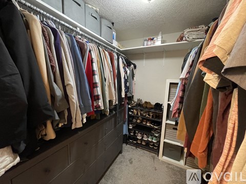 527 Whitney Drive 3 Beds Single Family Home for Rent - Photo Gallery 21