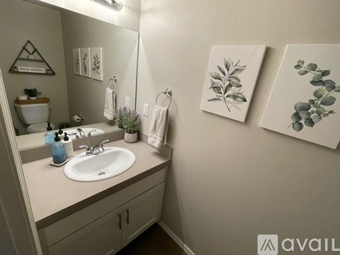 527 Whitney Drive 3 Beds Single Family Home for Rent - Photo Gallery 4