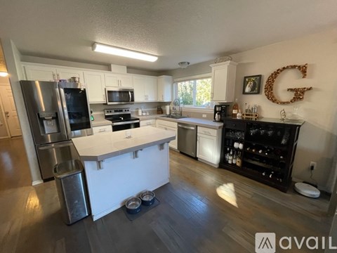527 Whitney Drive 3 Beds Single Family Home for Rent - Photo Gallery 6
