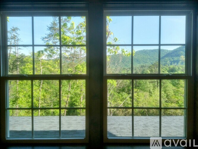 A window with a view of a green forest and mountains.