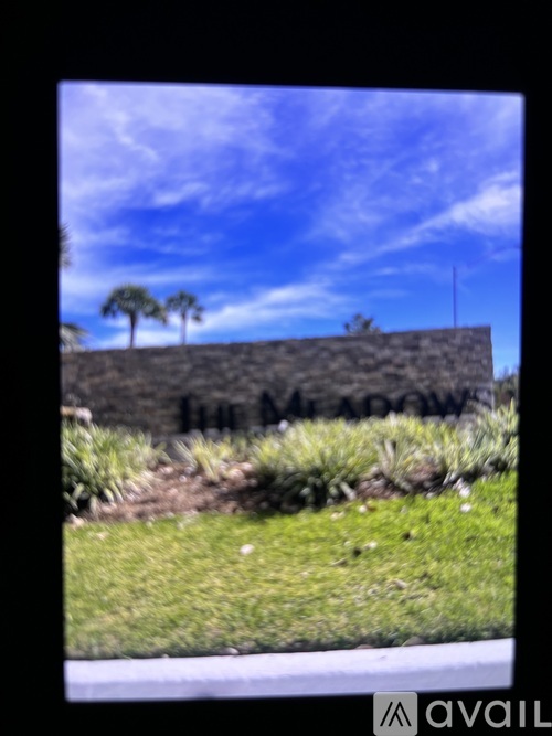A grassy area with a hill and two trees in the distance.