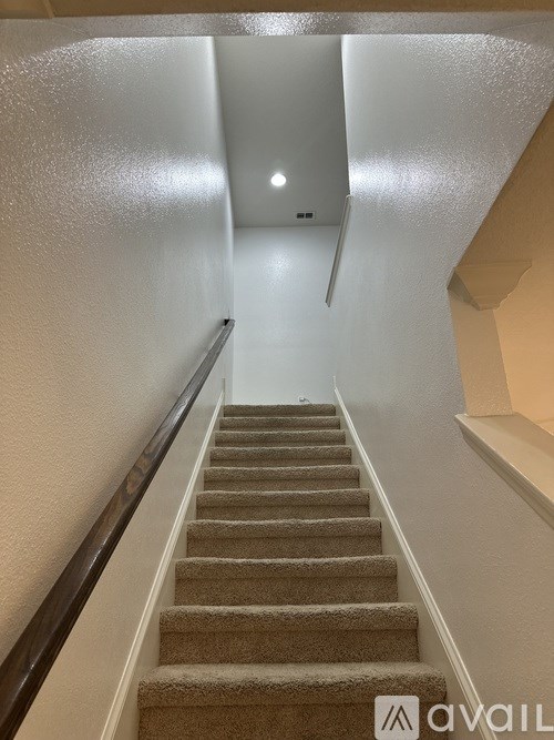 A staircase with beige carpeted steps and a wooden handrail.