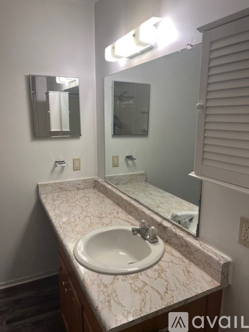 2118 Pauline Boulevard 1 Bed Apartment for Rent - Photo Gallery 14