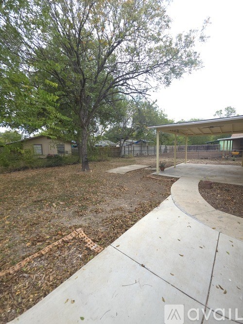 A backyard with a concrete walkway and a tree.