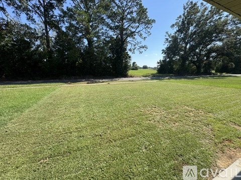 105 Whirlaway Drive 4 Beds Single Family Home for Rent - Photo Gallery 19