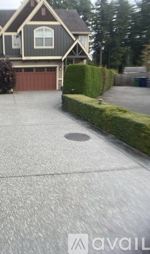 A house with a grey driveway and a hedge.