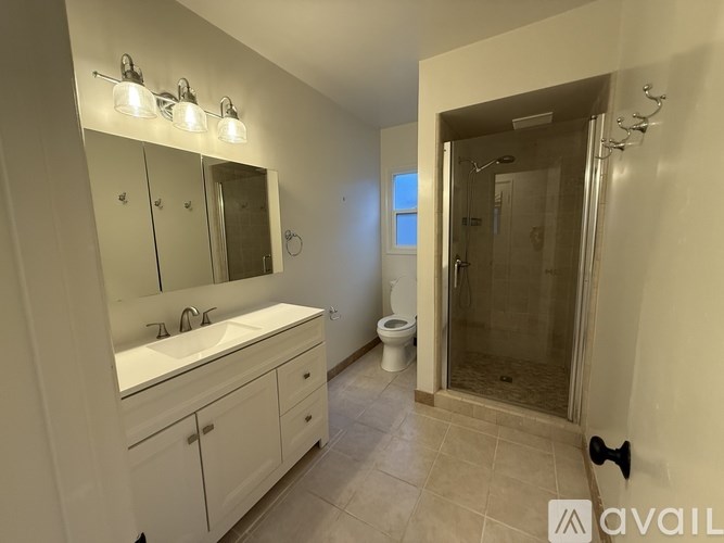 A bathroom with a white vanity and a walk-in shower.