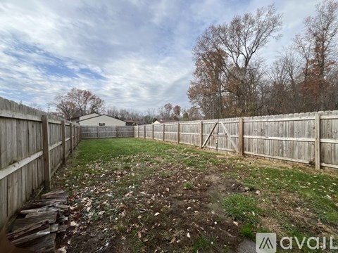 A backyard with a wooden fence and a shed in the background.