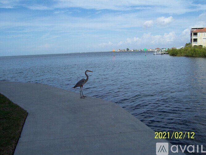 6035 Sea Ranch Dr 2 Beds Condo for Rent - Photo Gallery 19