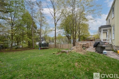 8 Myrtle Street 2 Beds Apartment for Rent - Photo Gallery 11