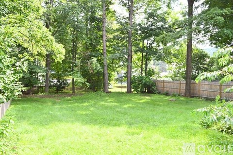 8 Myrtle Street 2 Beds Apartment for Rent - Photo Gallery 10