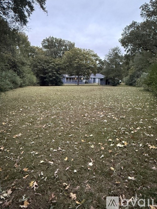 A field with scattered leaves and trees in the background.