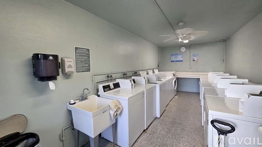 A row of white sinks are lined up in a small room.