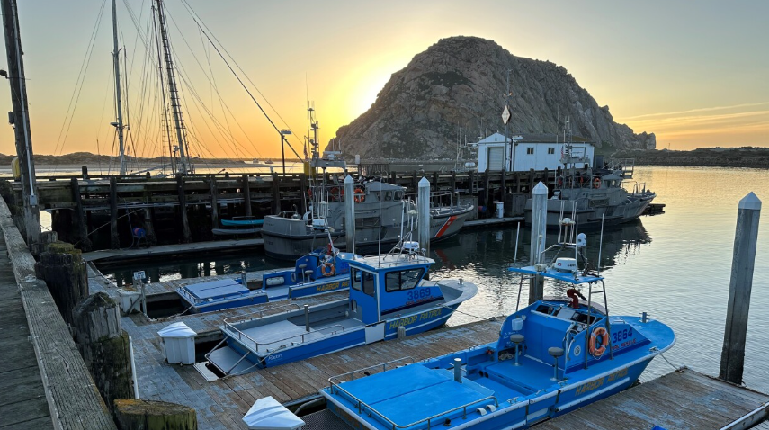 1275 Embarcadero 1 Bed House for Rent - Photo Gallery 1