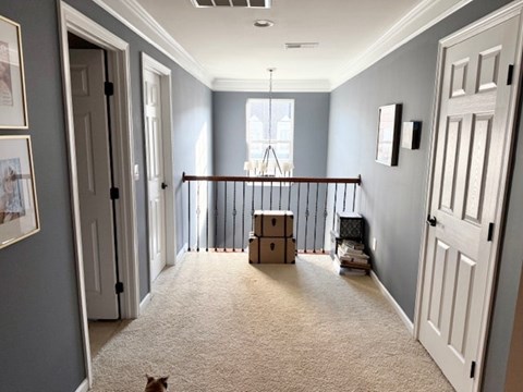 12 Dillworth Court 3 Beds House for Rent - Photo Gallery 8