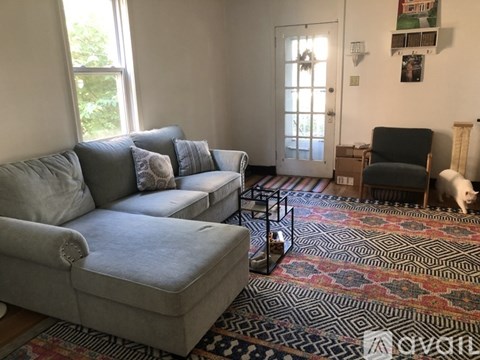 A living room with a grey couch and a patterned rug.
