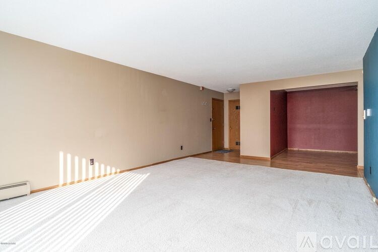 A room with a white carpet and a wall with a series of vertical lines.