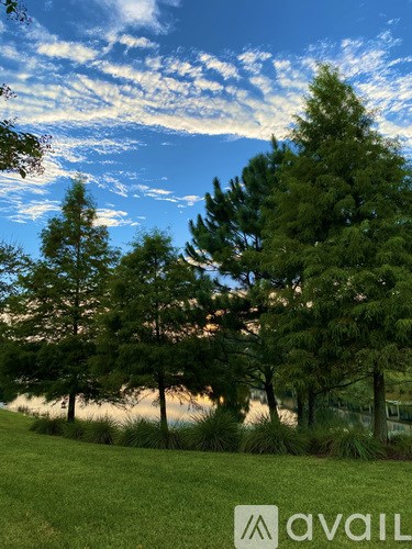 7033 Butterfly Ct 3 Beds Single Family Home for Rent - Photo Gallery 39