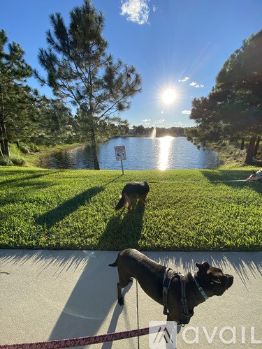 7033 Butterfly Ct 3 Beds Single Family Home for Rent - Photo Gallery 40