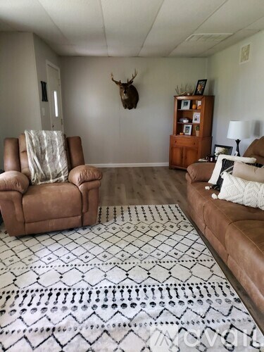 A living room with a rug and a deer head on the wall.