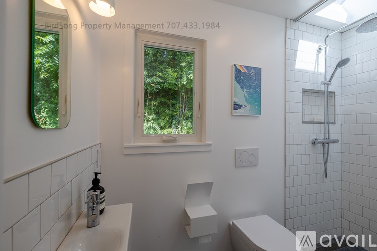 A white bathroom with a window and a toilet.